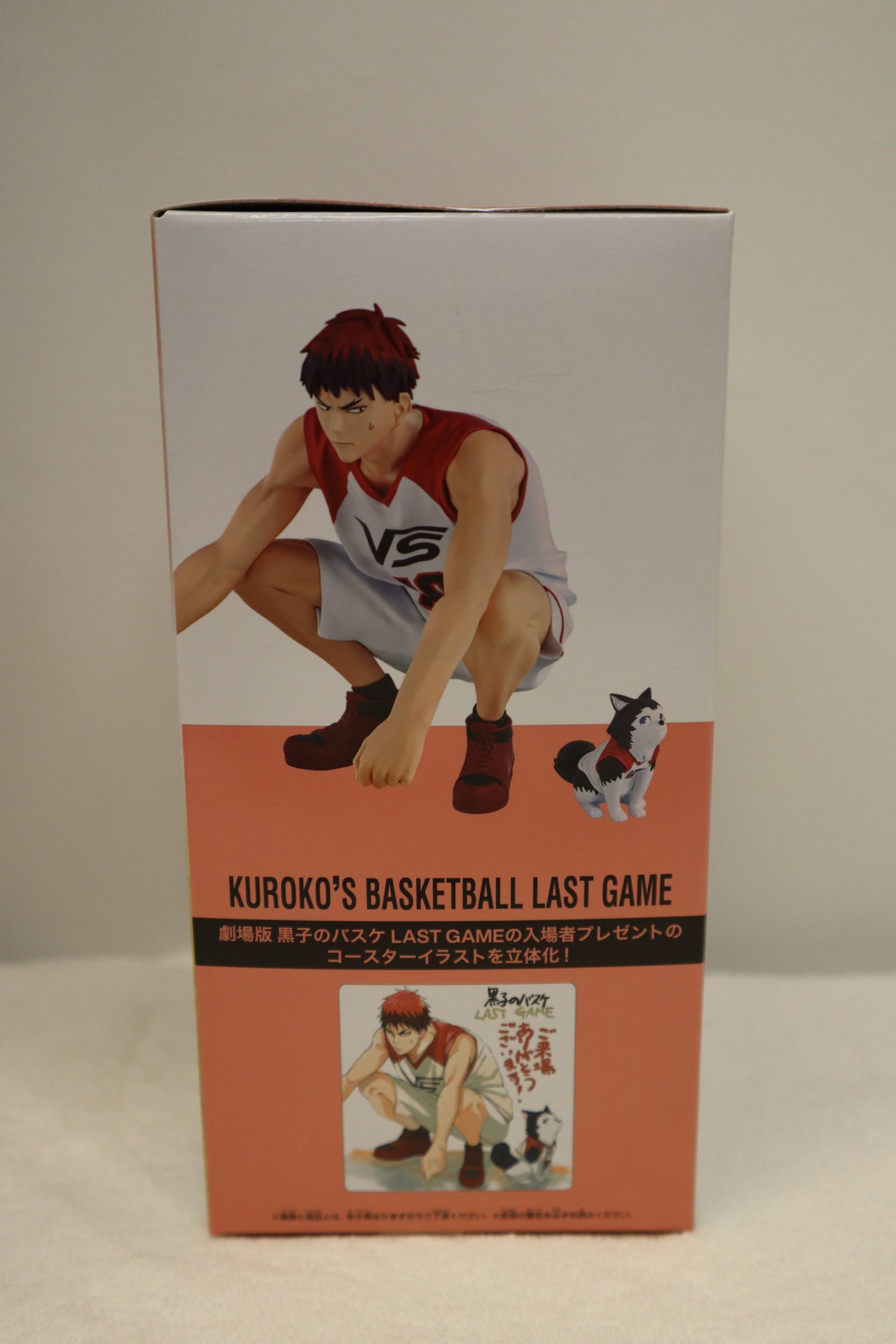 TAIGA KAGAMI