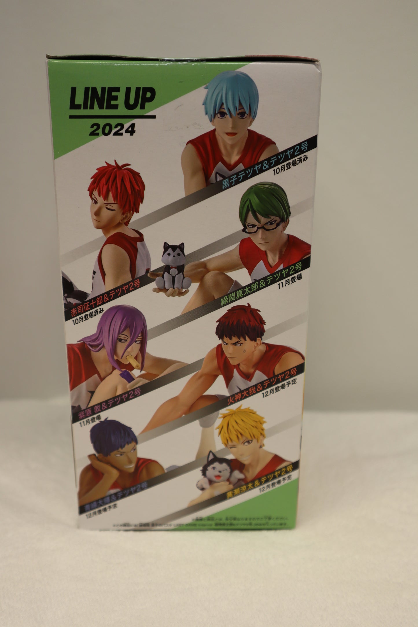 SHINTARO MIDORIMA