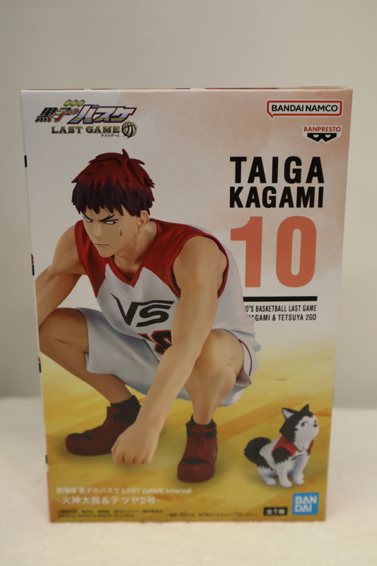 TAIGA KAGAMI